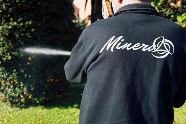 Minerva 2015 Srl - Foto 3