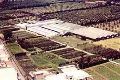 Laura Ryolo Azienda Agricola Florovivaistica  - Foto 2