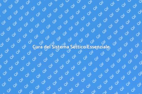 Manutenzione Sistema Settico Efficace