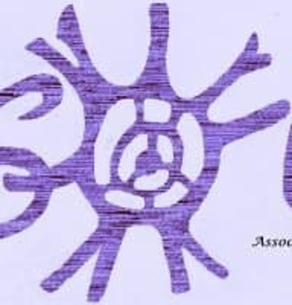 Associazione Solis  - Foto 1