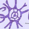 Associazione Solis 