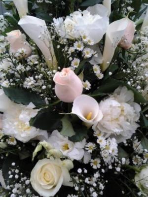 Vitalflor  - Foto 9
