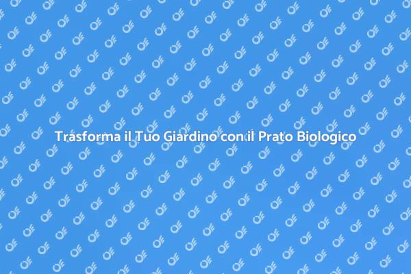 Prato Biologico: Guida alla Cura Sostenibile