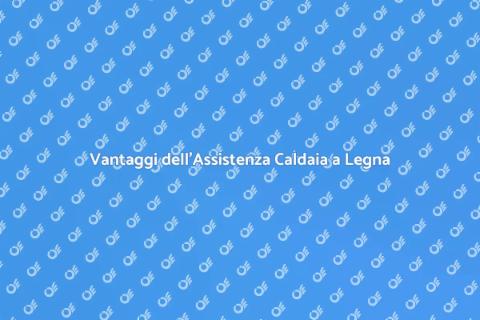Assistenza Caldaia a Legna Specializzata