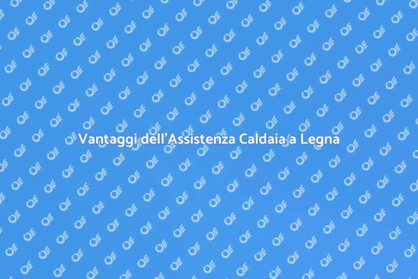 Caldaia a Legna: Assistenza Specializzata