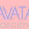 Cavataio Ascensori 