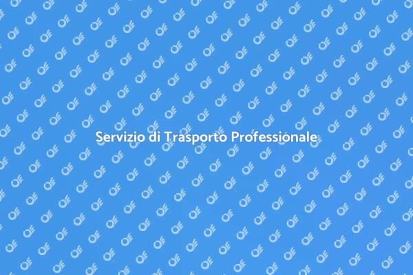 Trasporto Sicuro con Esperti