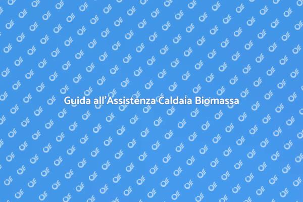 Comfort e Sostenibilità: Caldaia Biomassa