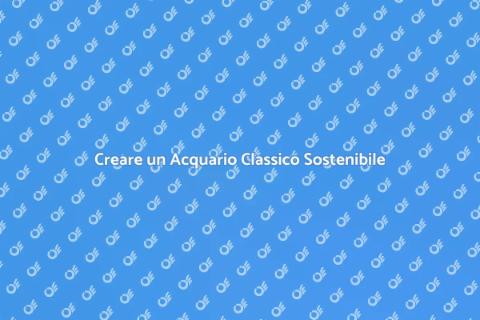 Acquario Classico: Bellezza e Sostenibilità
