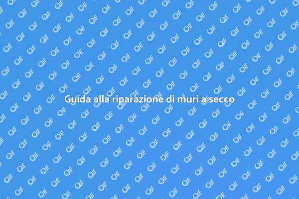 Come riparare un muro a secco