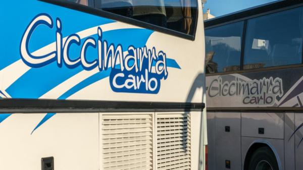 Ciccimarra Carlo e Figli Srl  - Foto 24