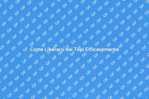 Disinfestare i Topi in Casa