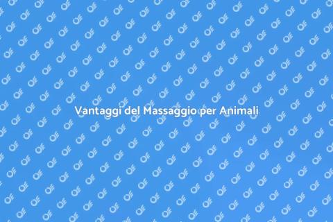 Massaggiatore Esperto per Animali