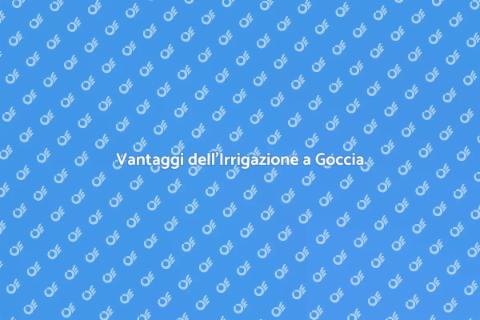 Impianto Irrigazione a Goccia Efficace