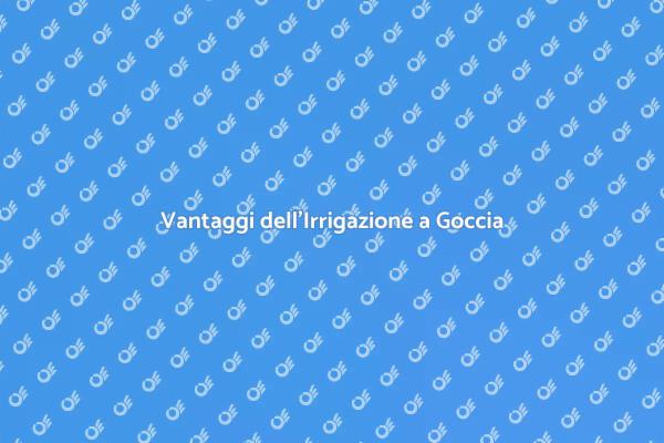 Irrigazione a Goccia: Soluzione Ideale