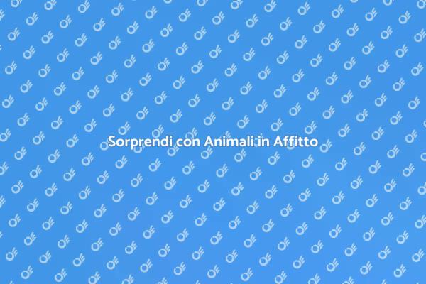 Animali per Feste: Un'Idea Unica