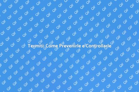 Controllo Termiti: Guida Completa