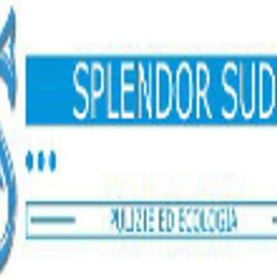 Splendor Sud