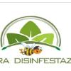 Futura disinfestazioni