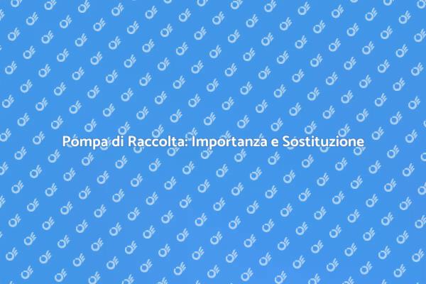 Sostituzione della Pompa: Un Necessario Intervento
