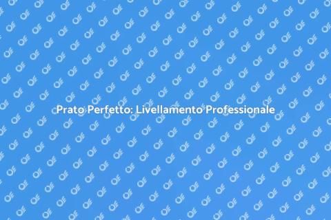 Livellamento Professionale del Prato
