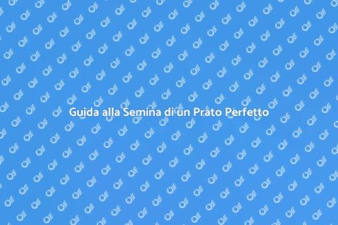Piantare un Nuovo Prato con Successo