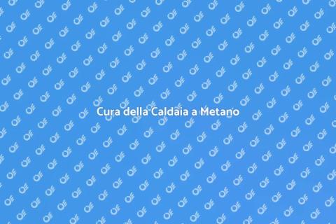 Manutenzione Straordinaria Caldaia