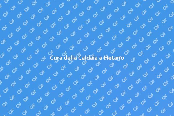 Manutenzione Caldaia: Comfort e Sicurezza
