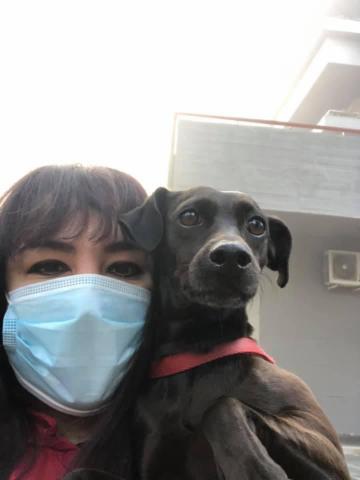 Mary Pet Sitter - Foto 4