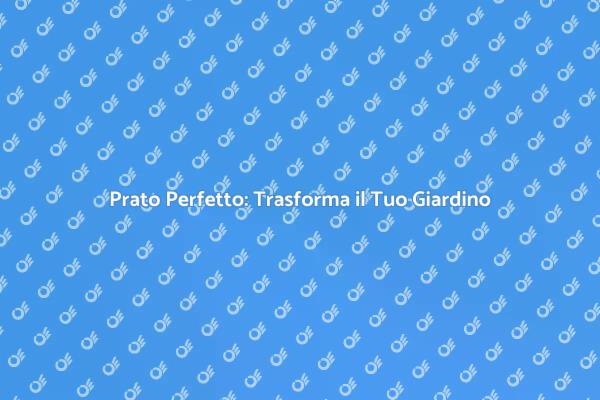 Il Tuo Prato Ideale con i Nostri Esperti