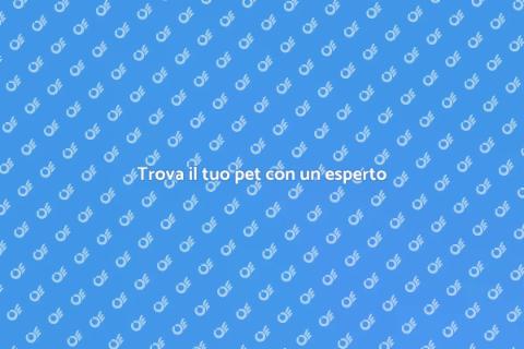 Ritrovare il tuo amico a quattro zampe