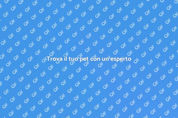 Pet Detective: il tuo alleato nella ricerca