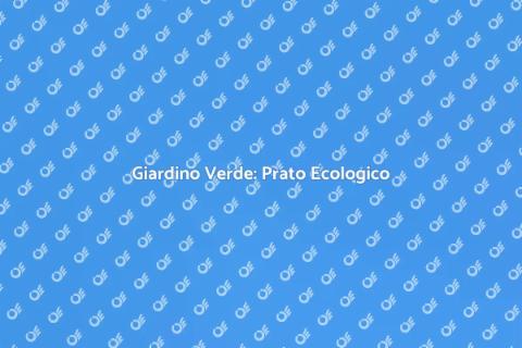 Prato Ecologico: Verde Tutto l'Anno