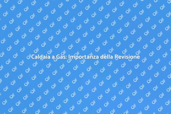 Sicurezza e Comfort: Revisione Caldaia