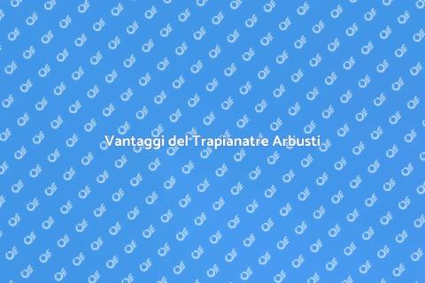 Trapianatre Arbusti: Vantaggi e Bellezza