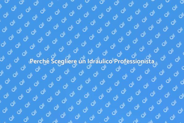 L'importanza di un Idraulico Qualificato