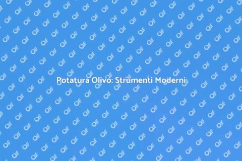 Potatura Olivo: Tradizione e Innovazione