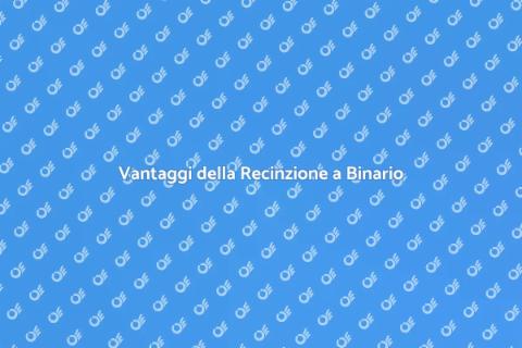 Installare una Recinzione a Binario