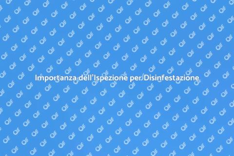 Ispezione Completa per Disinfestazione