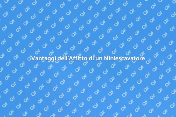 Miniescavatore: la Scelta Perfetta