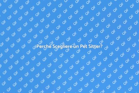 Pet Sitter Professionista: Vantaggi