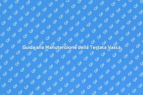 Manutenzione Testata Vasca Idromassaggio