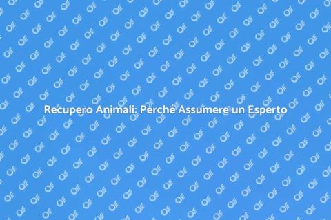 Assumere un Esperto per Animali Persi