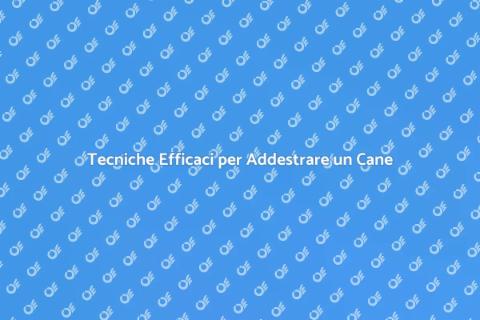 Addestrare il Tuo Cane: Guida Pratica