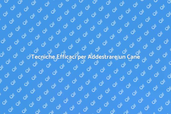 Guida all'Addestramento del Tuo Cane