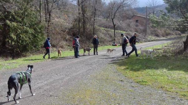 Il Segno di Fido - asd cinofila Mugello e Firenze - Foto 8