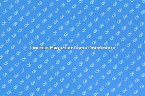 Disinfestazione Cimici in Magazzini