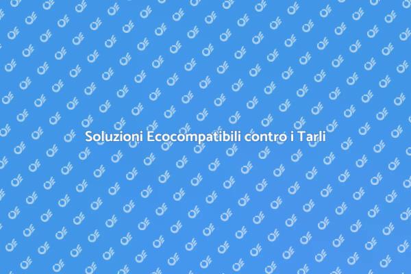 Combatti i Tarli in Modo Eco-Friendly
