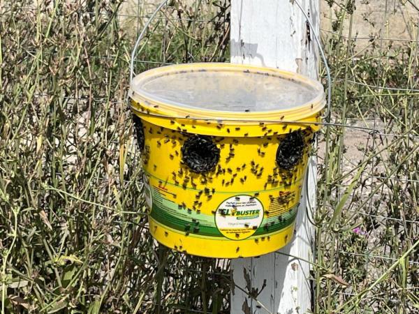 Ti Disinfesto Servizi Ambientali I.A. - Foto 2