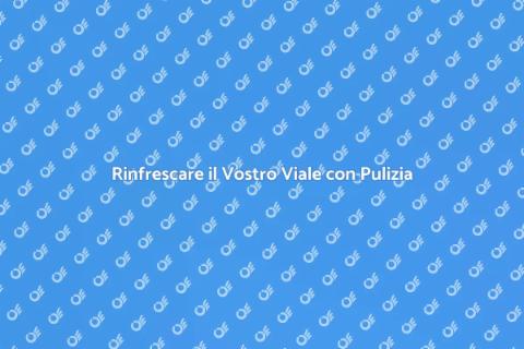 Lavare a Pressione il Vostro Viale